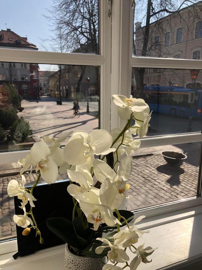 Tiltu 5 Jacuzzi Apartment Клайпеда Екстериор снимка